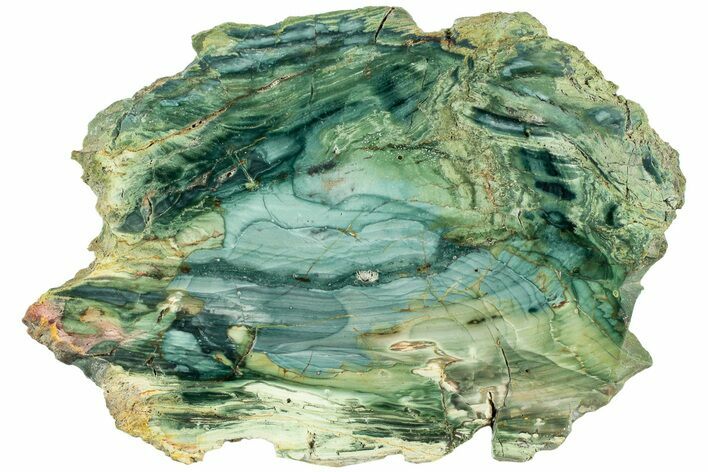 Gary Green Jasper (Larsonite) Bog Wood Slab - Oregon #227918